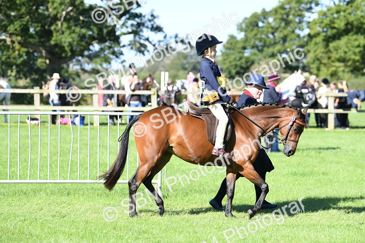 SBM_37114 - S18 - Novice & Newcomers Lead Rein Pony