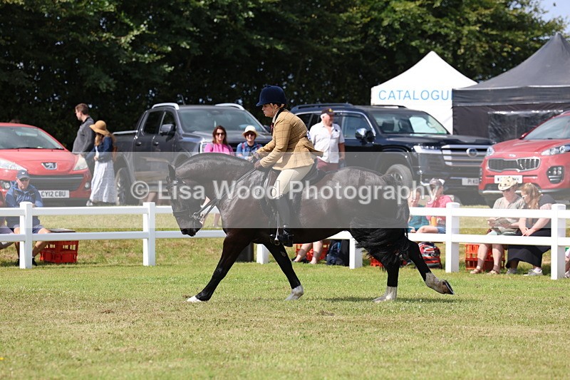 3E7A9824 - Class 5: Rising Star Lightweight/Heavyweight Cobs