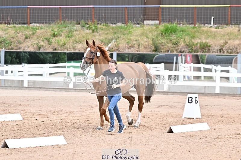 250716-134933-00675 - Trot Up 1.30 to 2.30