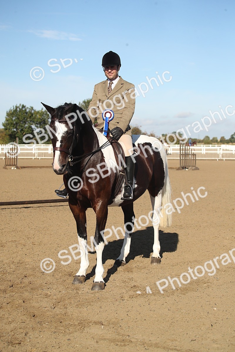 SBM_11348 - Class 501 -Riding Club Pony
