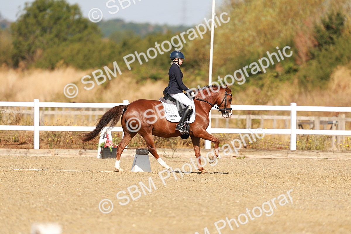 SBM_016802 - Class 9 - N5 Bronze 9.30.10.19