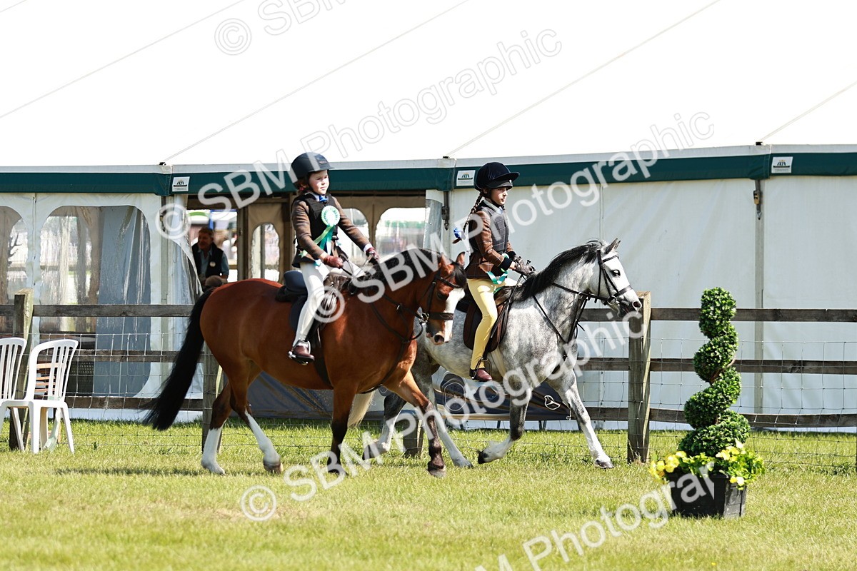 SBM_12851 - Class 106-107 - BSPS LIHS Working Sports Pony