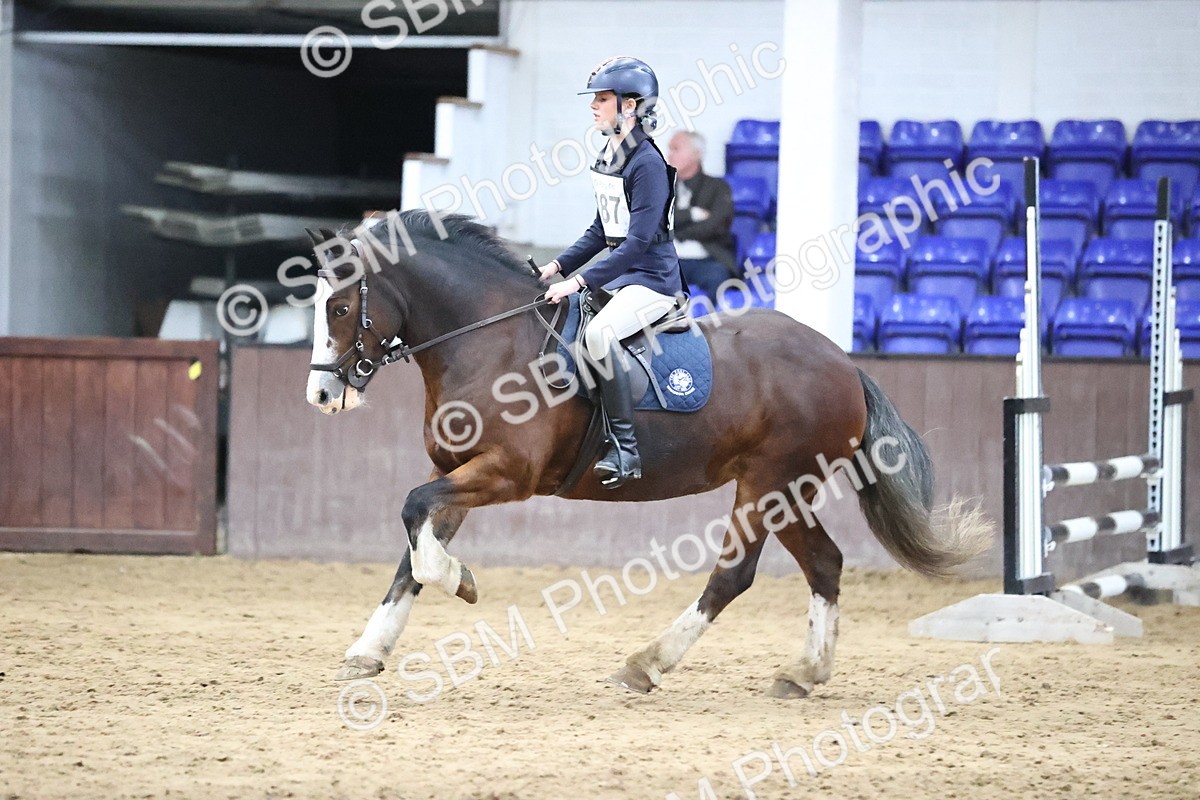 SBM_001664 - Class 5 - Henlow Veterinary Hospital 70cm
