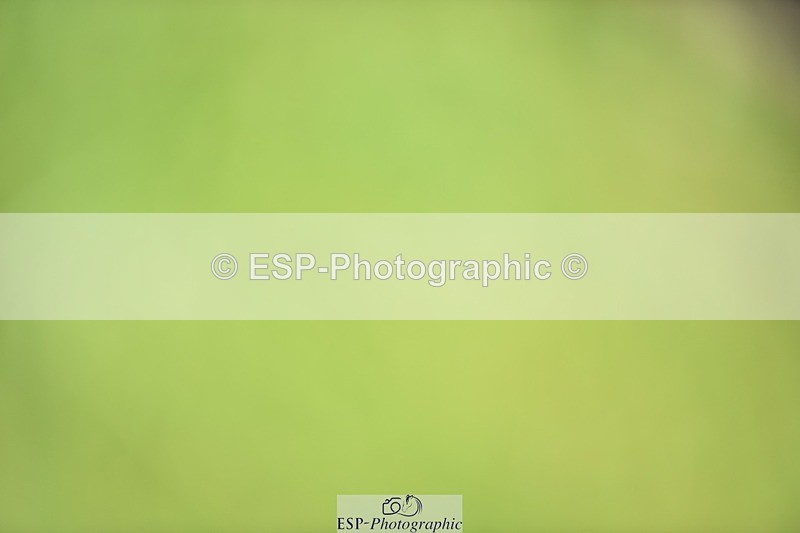 240605-152830-01281 - Cls 10 Adv Medium 98 SQ