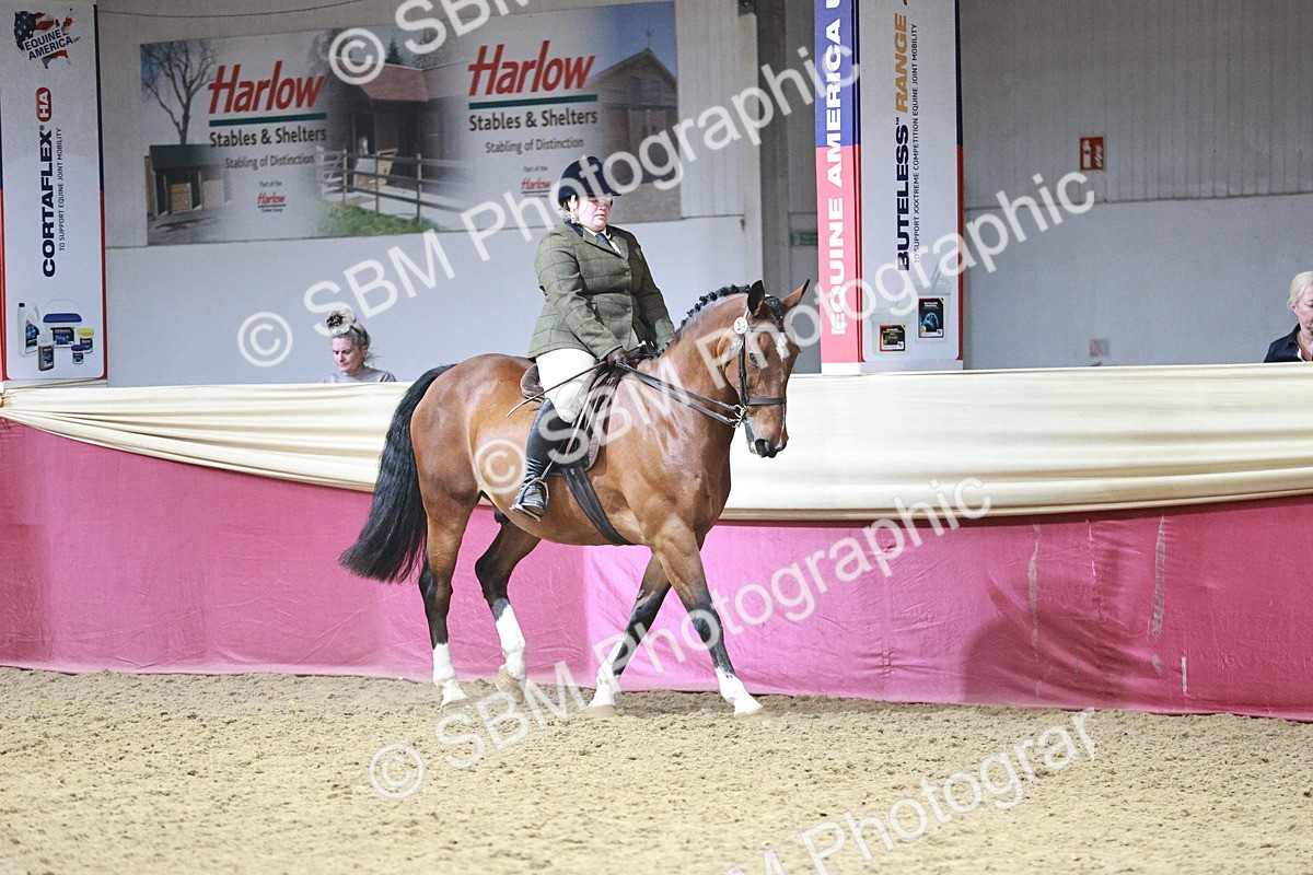 SBM_07973 - Class 11R - Regional Ridden Veteran