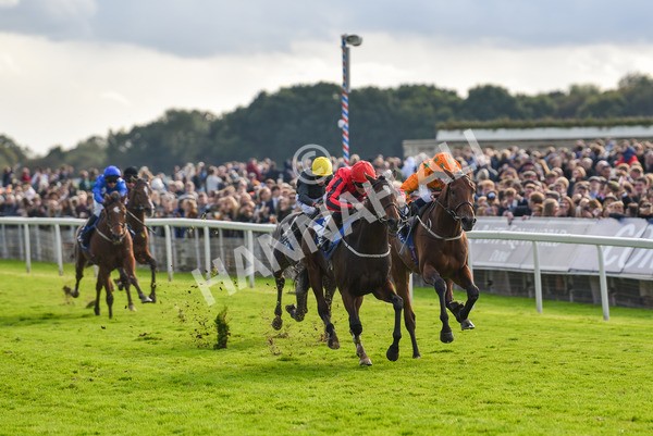 141023-Race 4-Colorada Dancer-1179 - Race 4 3.05pm Coral Racing Club EBF Maiden Stakes