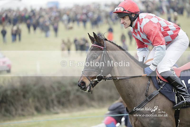 PtP 040323 454 - Duke of Beauforts Hunt Point-to-Point Didmarton 04/03/23