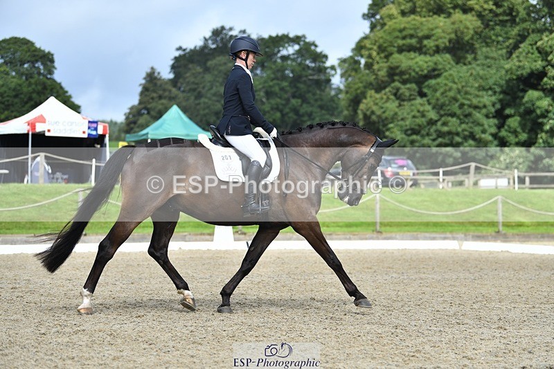 230812-104446-03461 - Cls 6 Novice Silver 10.30 to 11.55 break