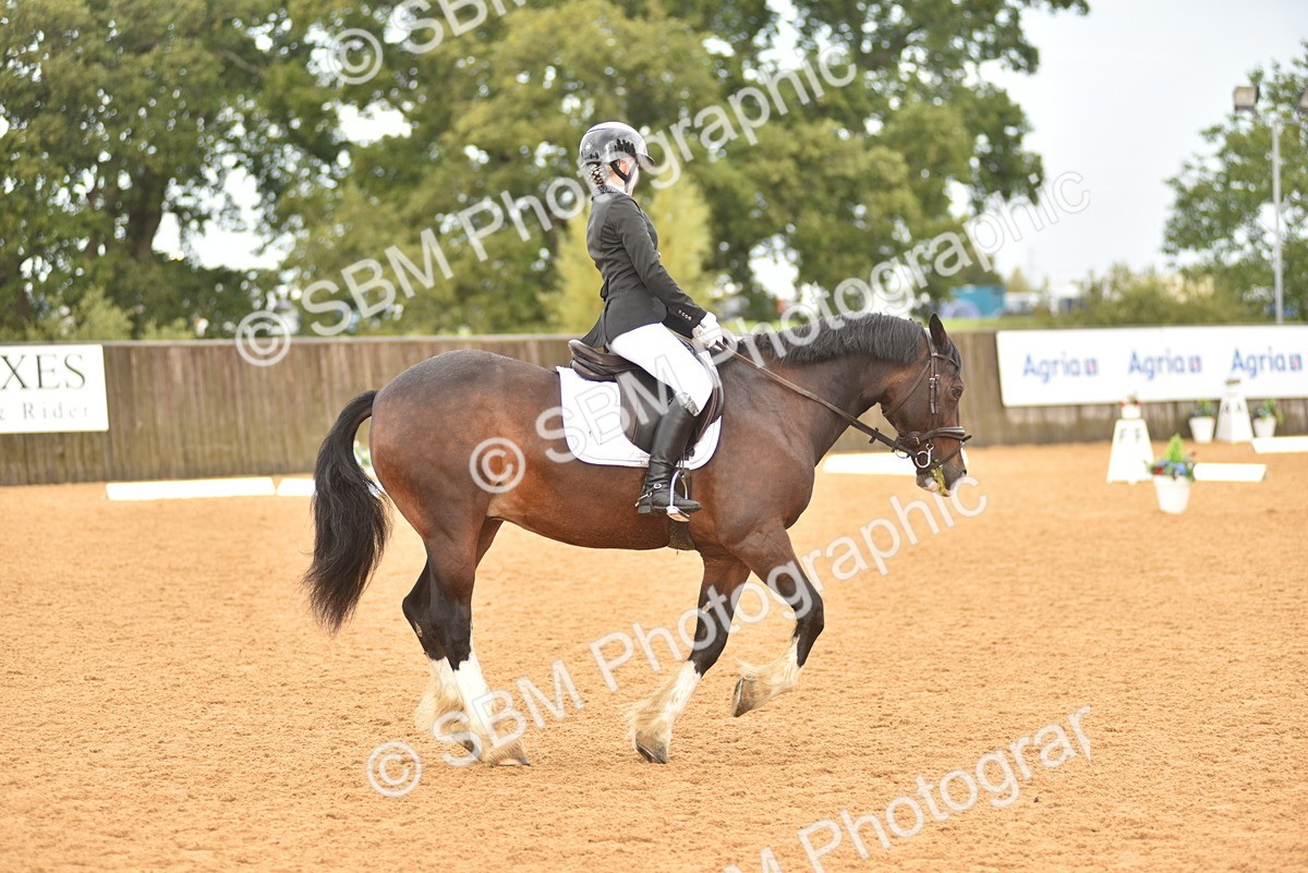 SBM_02139 - D7 - Small Tour Championship Prelim 2