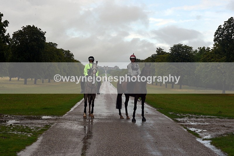 TT3_8892 - Time at Crossing 12:55 to 15:02