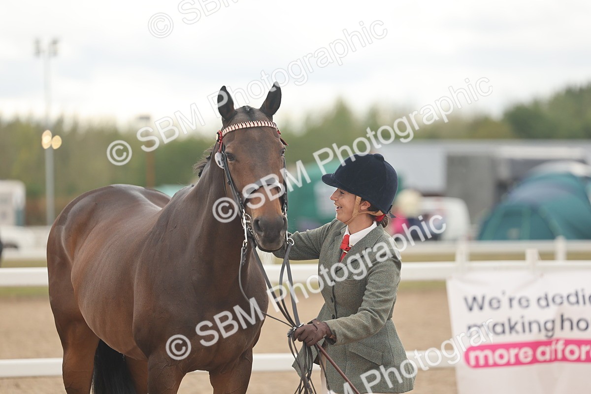SBM_17128 - Class 313 - IH Retired Racehorse