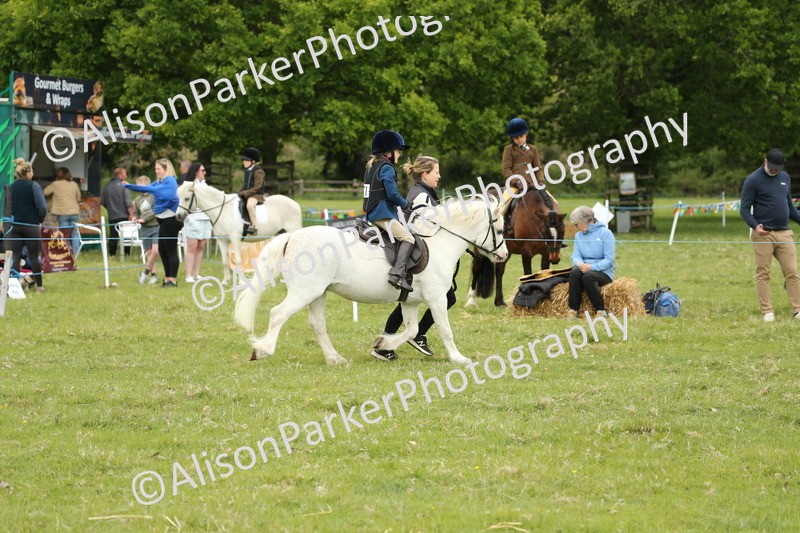 20250517-0607 - Class 20 - Beginners Working Hunter