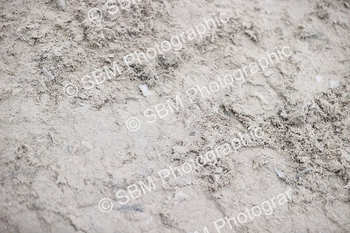 SBM_001019 - Class 4 - Springboard 128cm 138cm Restricted Handicap 90cm 1.00m