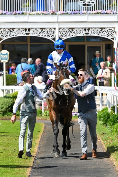 140525-Race 1-Almoshher-1656 - Race 1 2.10pm Sky Bet Race To The Ebor Jorvik Handicap