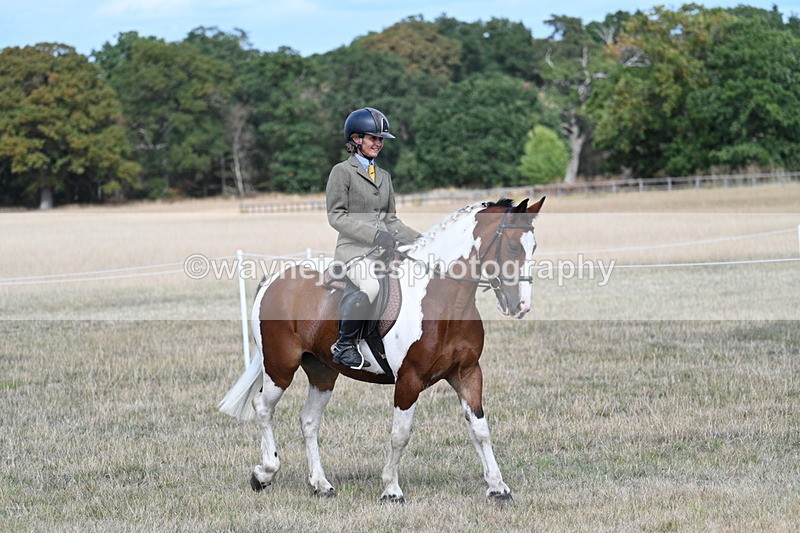 WJ7_6656 - Class 14 Ridden Coloured
