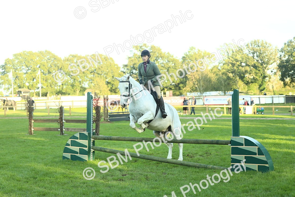 SBM_55576 - S14 - Riding Club Horse