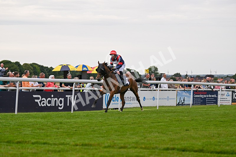 050724-Race 5-Walter Hartright-2531 - Race 5