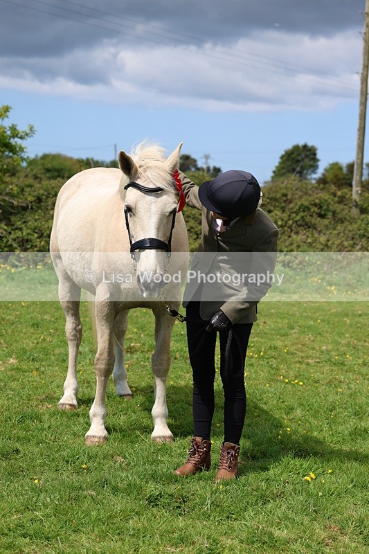 3E7A0403 - Class 19: Best Coloured in Hand