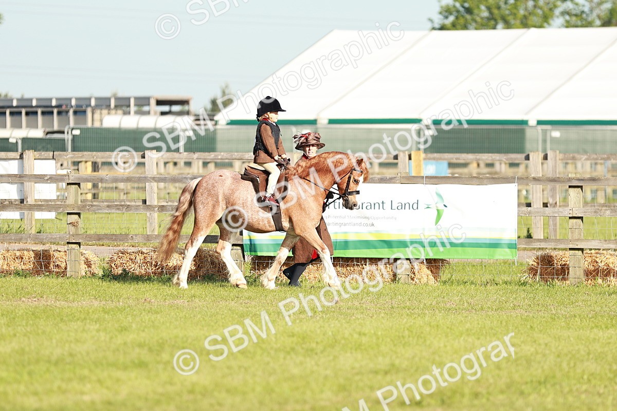 SBM_11042 - Class 106-107 - BSPS LIHS Working Sports Pony