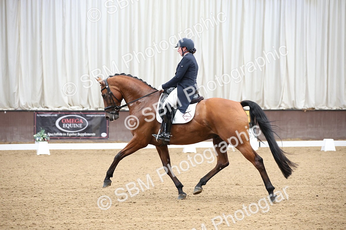 SBM_004461 - Class 9 - FEI Inter 1 Gold - 15.55-16.43