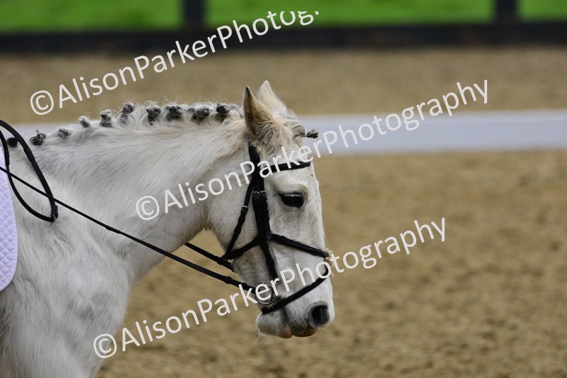 20260125-0531 - Class 9b - Walk Trot Unassisted