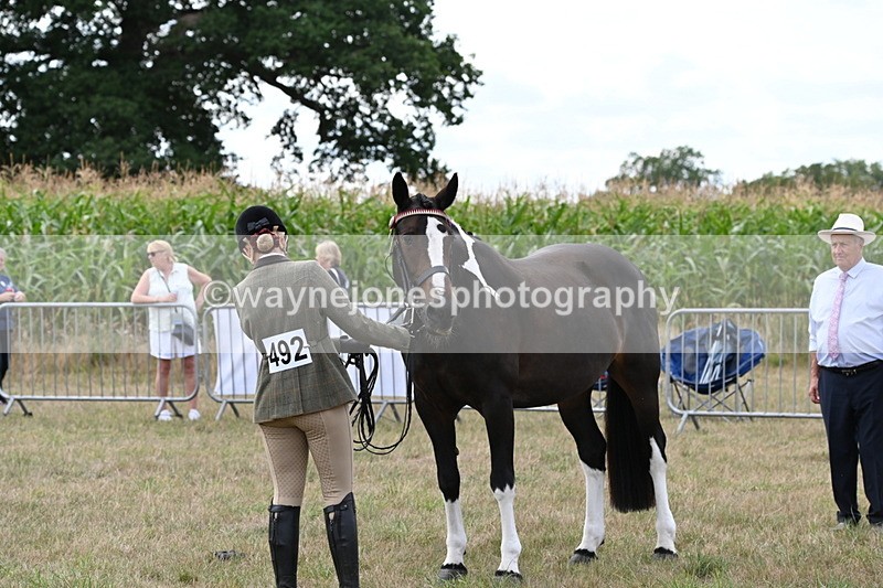 WJ6_6211 - Class 19 In-hand Veterans (Uploaded correct folder)