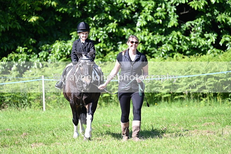 WJ7_0460 - Class 8 First Rally Pony