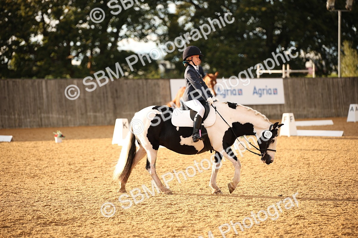 SBM_12447 - D3 Small  Tour Championship Intro A