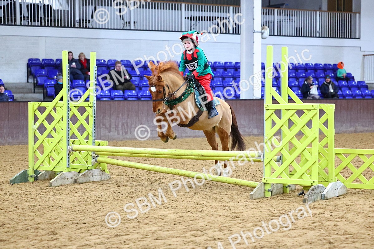 SBM_001360 - Class 3 - Christmas Tree Stakes - 60cm