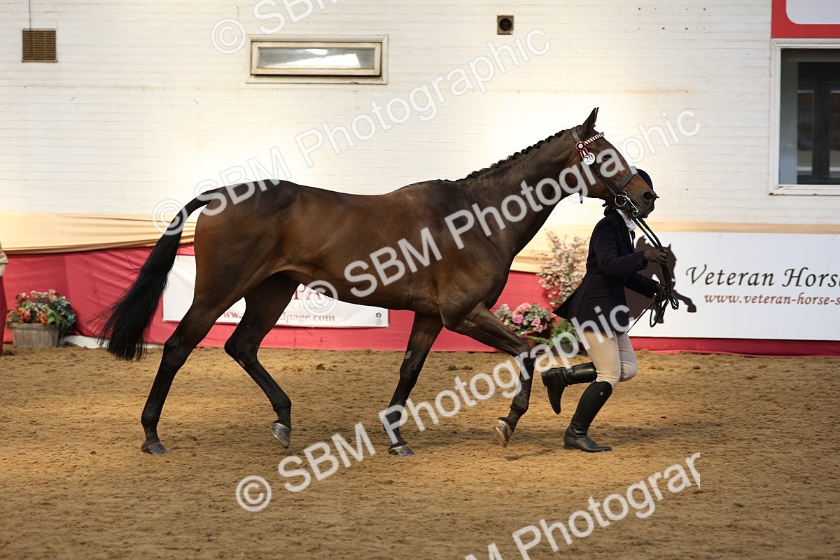 SBM_23238 - Class 905 - Supreme Final - Ridden Veteran