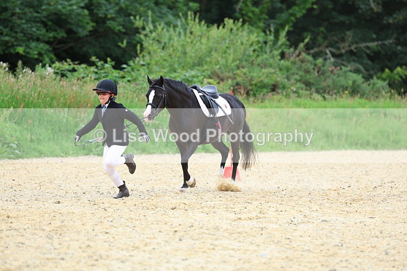 3E7A9478 - Walk trot run