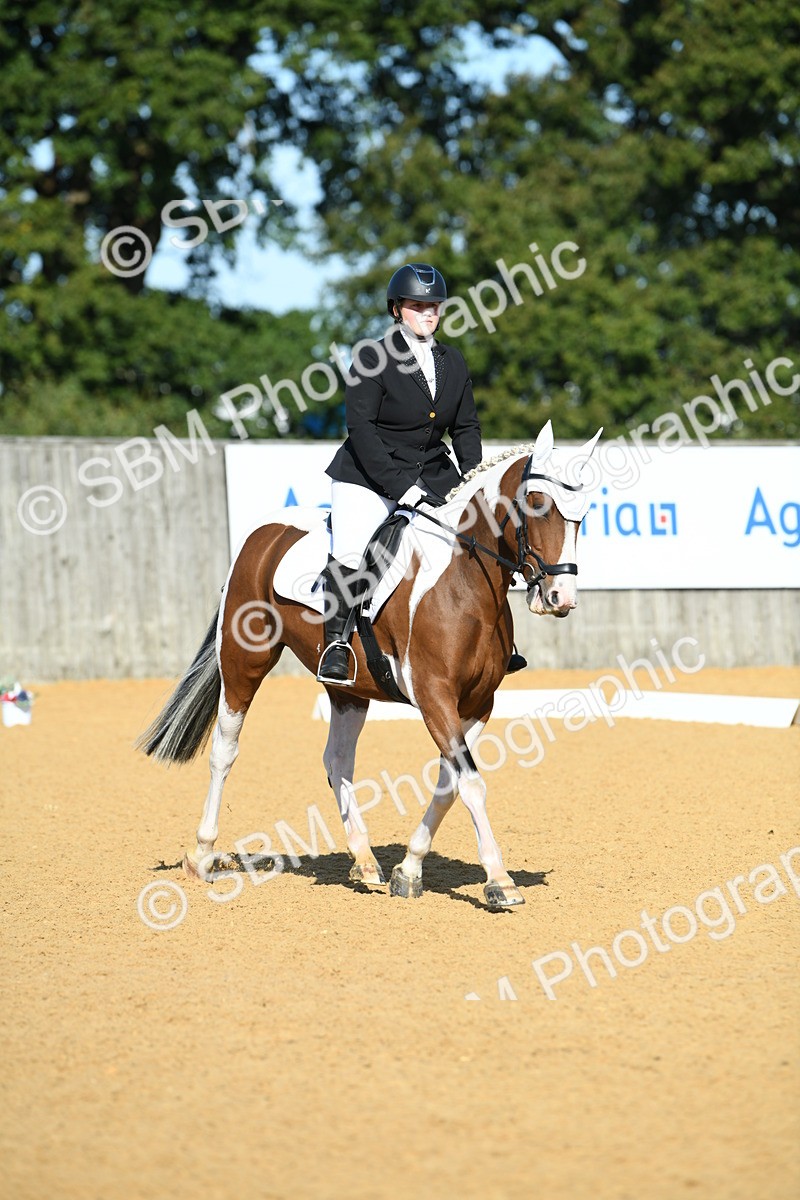 SBM_17900 - D4 - Small Tour Championship - Intro B
