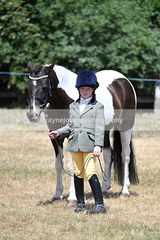 WJ7_2189 - Class 5 Most Handsome Gelding (up to 14.2hh) in hand