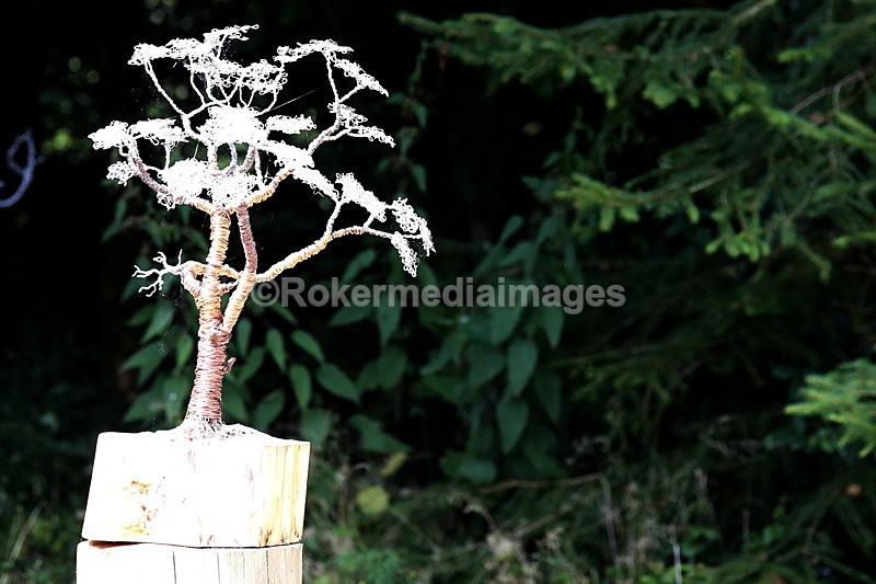  - Elemental Sculpture Park