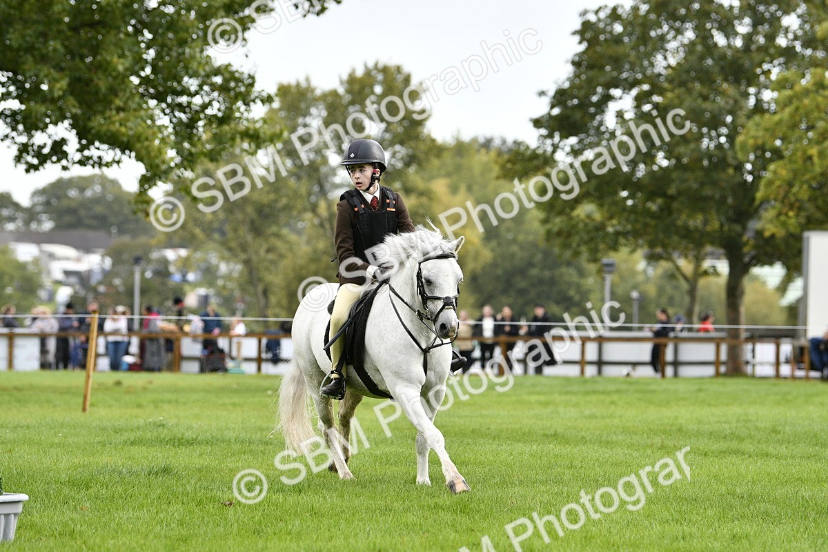 SBM_35431 - S30 - Nursery Stakes Working Hunter Pony