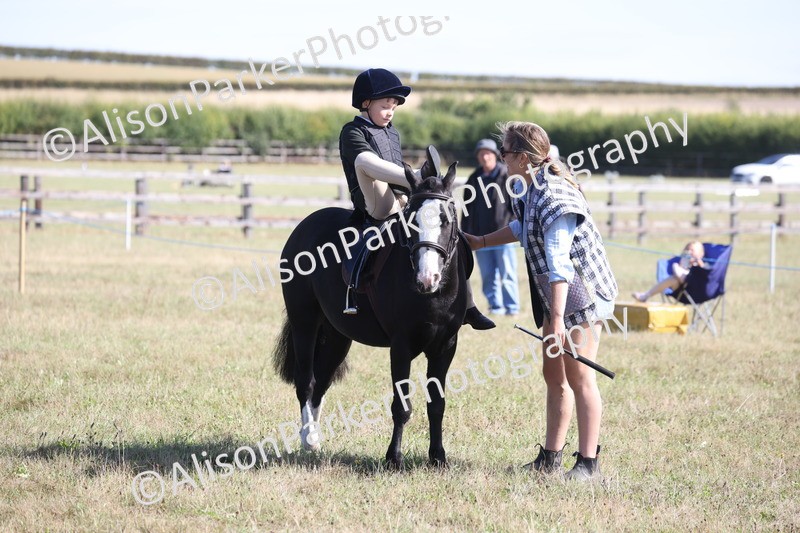 20260906-2206 - Class 16 - Family Pony