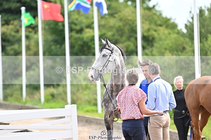 240717A-164202-03480 - Trot Up 4pm to 5pm
