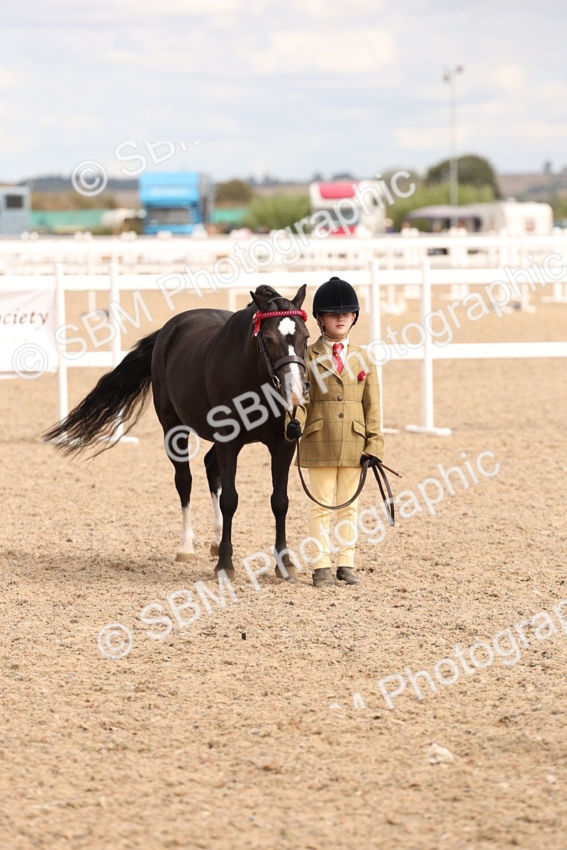 SBM_15134 - Class 209 - IH Veteran Pony