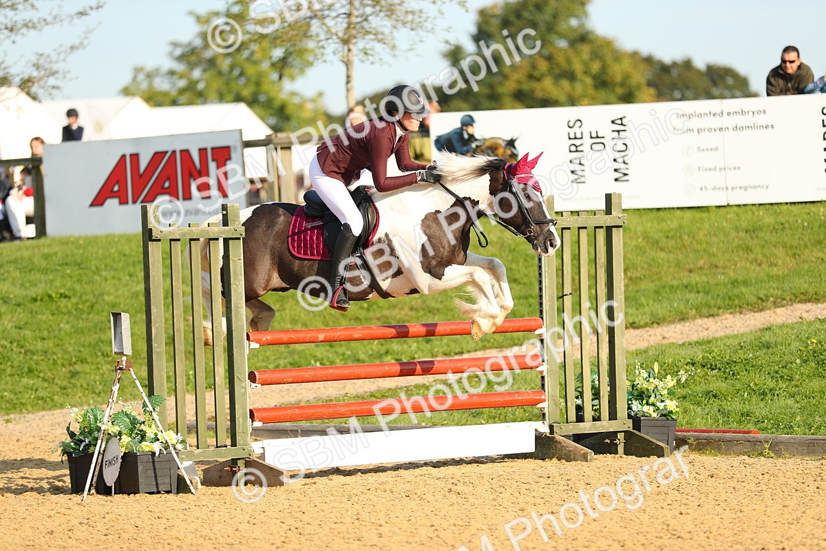 SBM_60172 - J41 - Grand Tour 95cm Championship