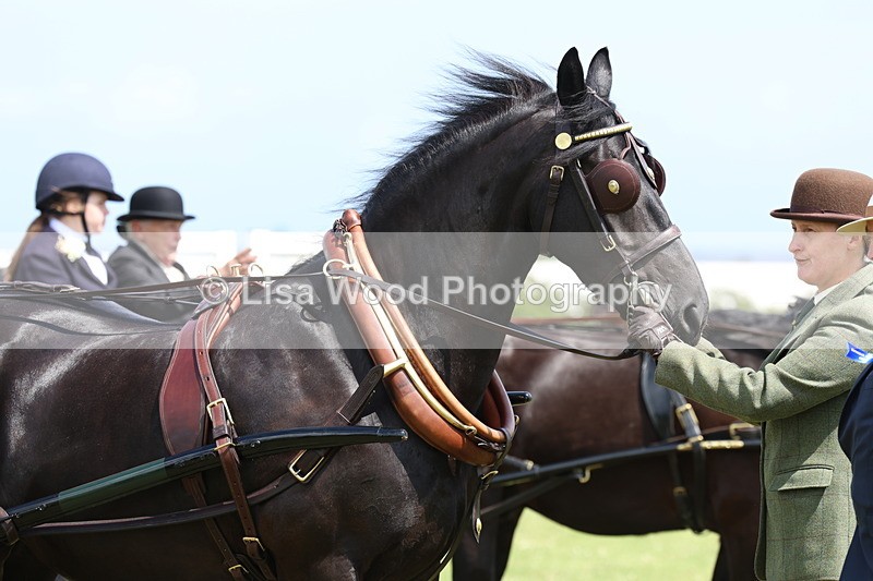 3E7A2774 - Class 12: Open Driving