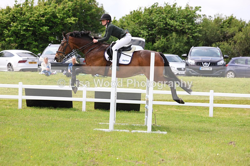 3E7A7513 - Class 13: Senior British Novice/90cm open