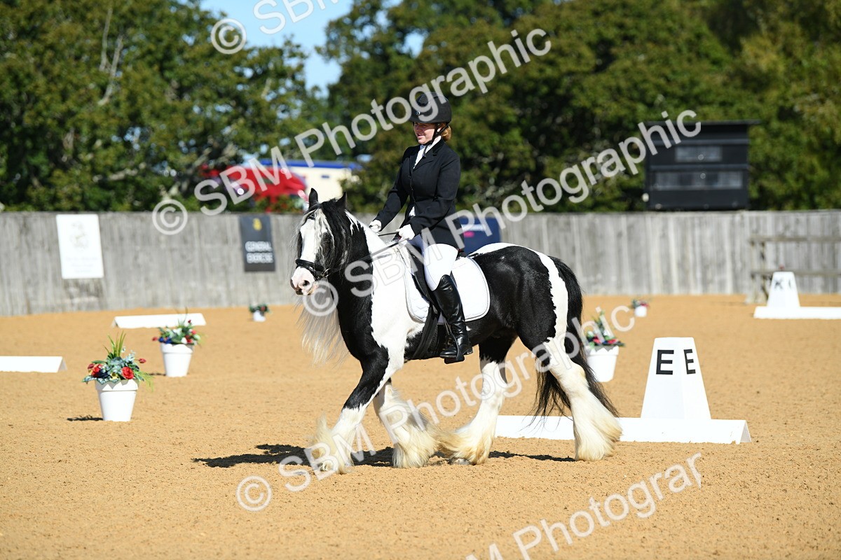 SBM_18068 - D4 - Small Tour Championship - Intro B