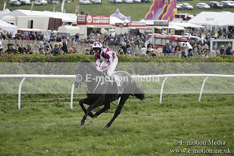 PtP 170417 359 - Old Berks Point-to-Point Lockinge 17/04/17