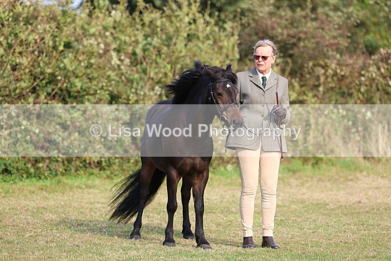 3E7A3232 - Class 12: M & M Small Breeds