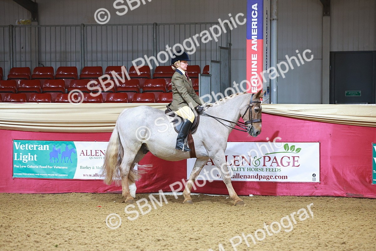SBM_07552 - Class 101 - HOYS Veteran Qualifier - Ridden Diamond