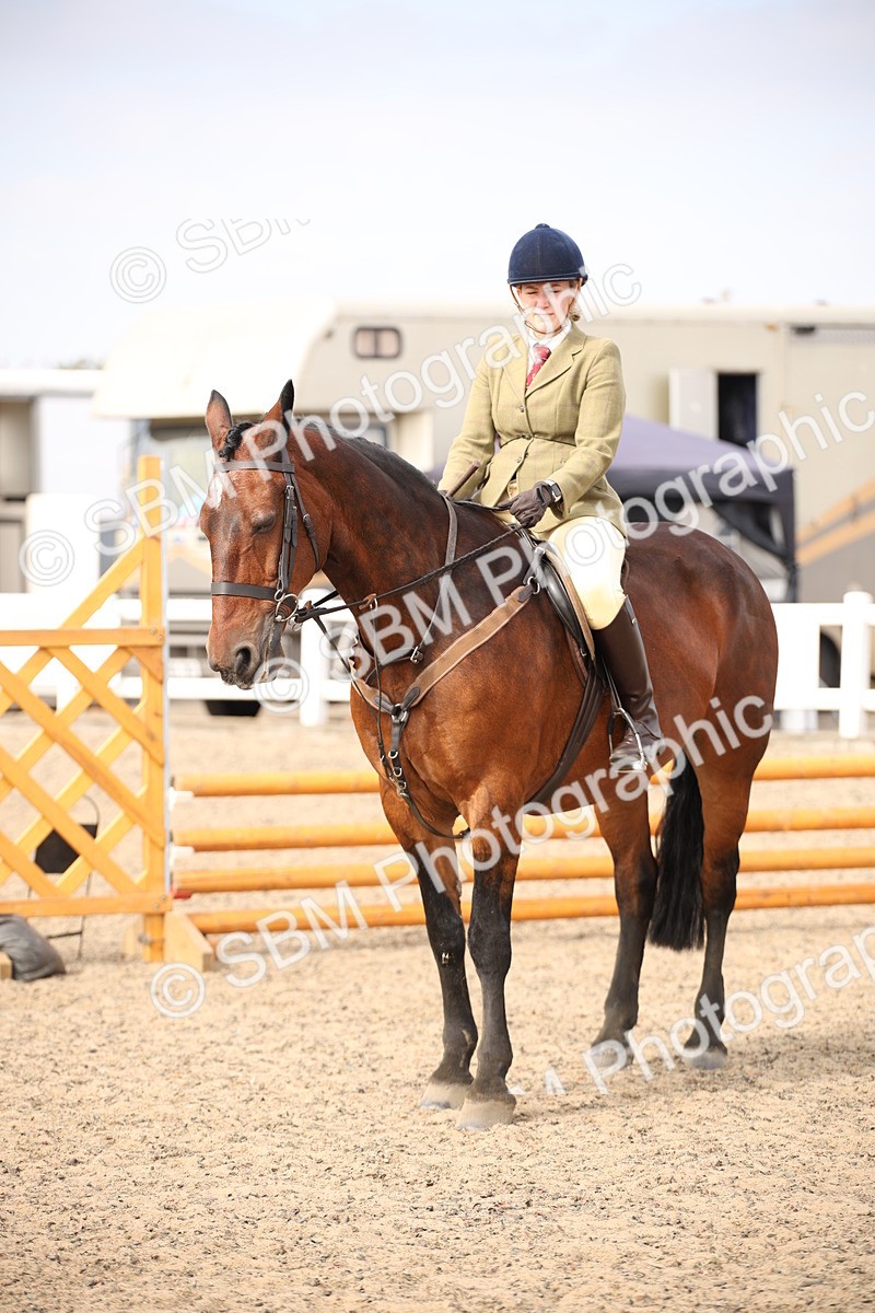 SBM_16100 - Class 408b - Working Veteran 70cm (20+)