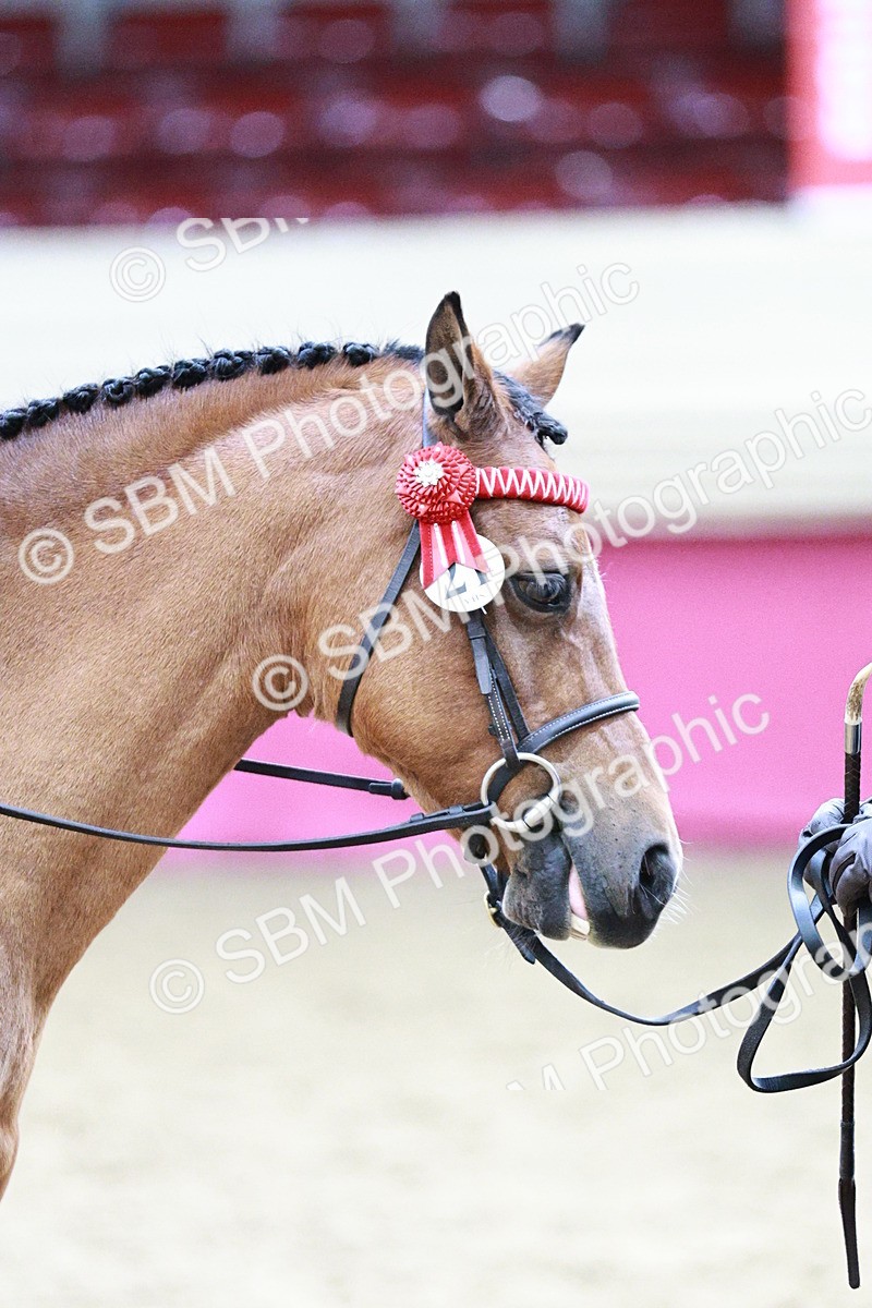 SBM_03052 - Class 5A - Area Ridden Veteran