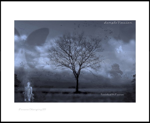 Forever Changing.. - Surface & Soul