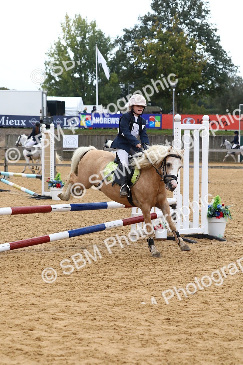 SBM_62261 - J64 - Junior Pony 60cm Championship