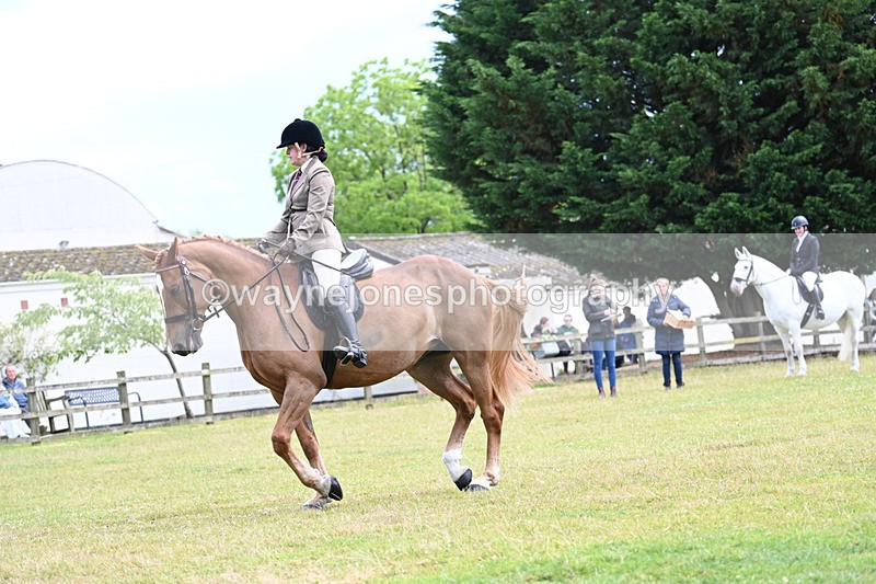 WJ7_9299 - Class 8 Ridden Veterans